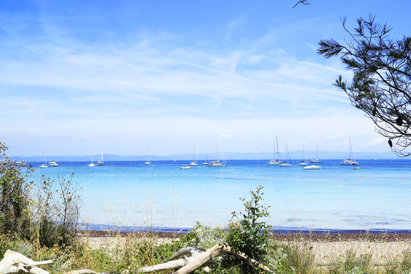 Appartement pieds dans l'eau � Porquerolles