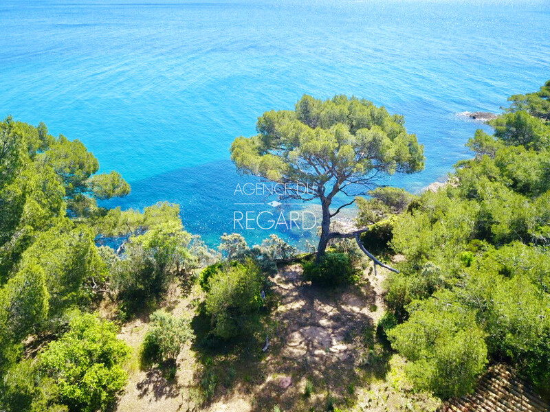 Exceptionnel ! plus d1 hectare pieds dans l'eau