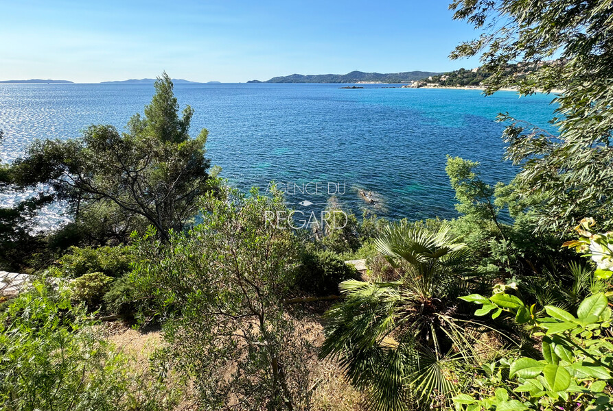 Un emplacement exceptionnel, pieds dans l'eau...