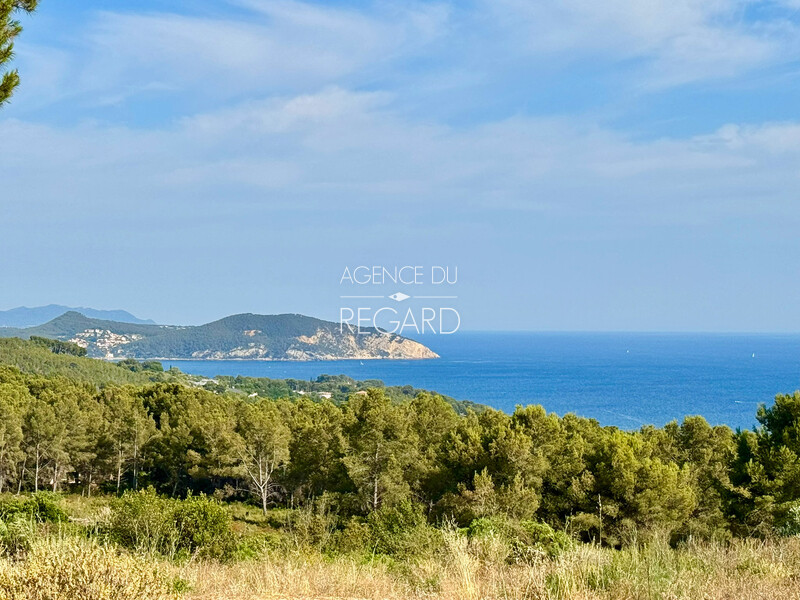 Parc d1 hectare avec vue mer panoramique  Ceyreste