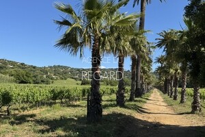 proprit vue mer  La-Croix-Valmer