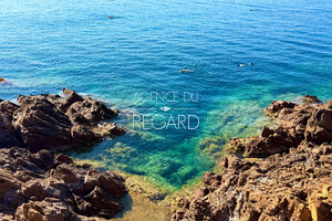 Proprit pieds dans l'eau  Saint-Raphal