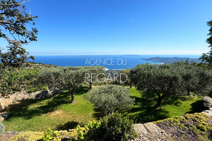 propri�t� vue mer au Lavandou