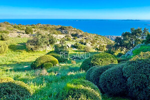 propri�t� vue mer au Lavandou