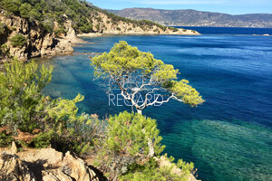 Propri�t� pieds dans l'eau au Cap B�nat