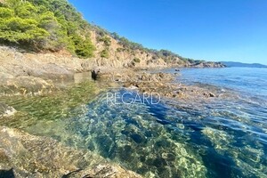 Propri�t� pieds dans l'eau au Cap B�nat