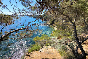 Propri�t� pieds dans l'eau au Cap B�nat