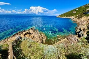 proprit vue mer au Rayol Canadel